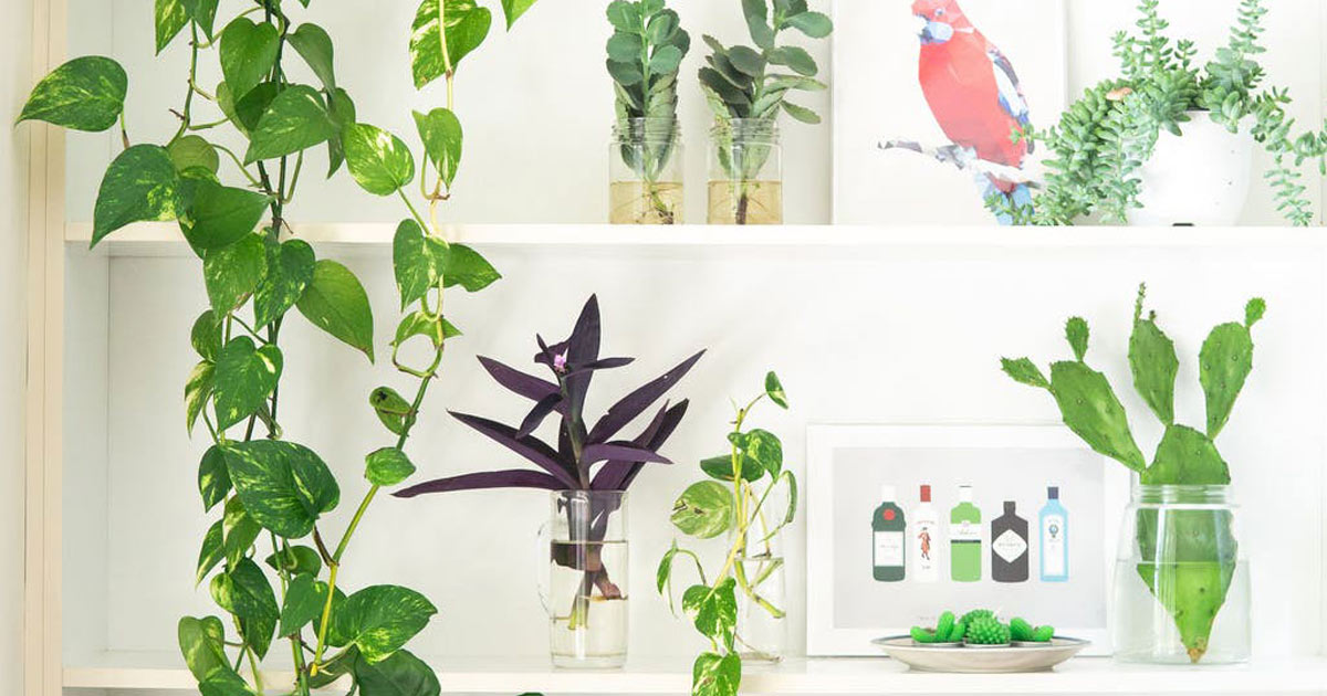 Eco-friendly Weddings: 5 Great Products Available Now Utterly Printable