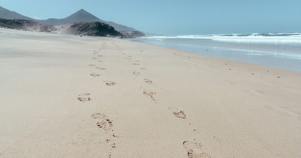 Reducing the Carbon Footprint of Your Wedding Utterly Printable