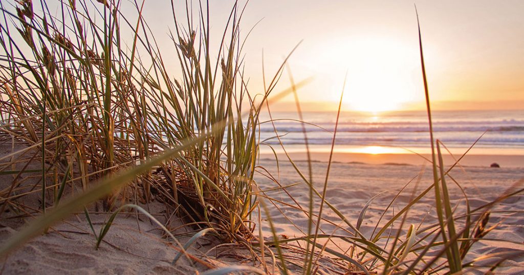 6 Summer Wedding Invitations We Know You’ll Love Utterly Printable