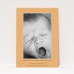 A birth announcement card design titled "Orange and Mint". It is an A5 card in a portrait orientation. It is a photographic birth announcement card with room for 1 photo. "Orange and Mint" is available as a flat card, with tones of orange and blue.