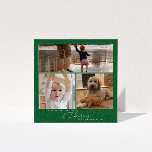 Personalised Christmas Card Design - "Boreal Forrest" A personalised christmas card design titled "Boreal Forrest". It is a square (148mm x 148mm) card in a square orientation. It is a photographic personalised christmas card with room for 3 photos. "Boreal Forrest" is available as a folded card, with tones of green and gold.